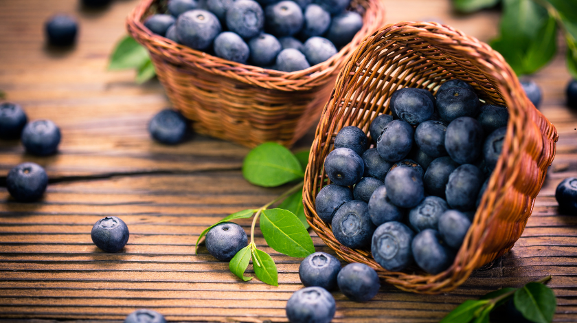 Spain Blueberry