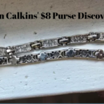 Erin Calkins' $8 Purse Discovery
