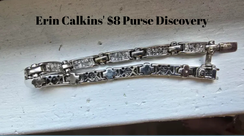 Erin Calkins' $8 Purse Discovery